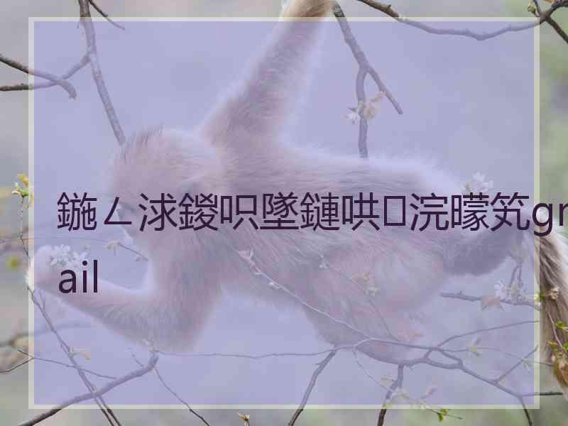 鍦ㄥ浗鍐呮墜鏈哄浣曚笂gmail