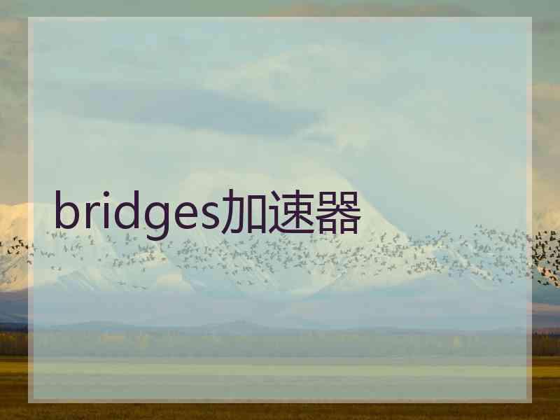 bridges加速器