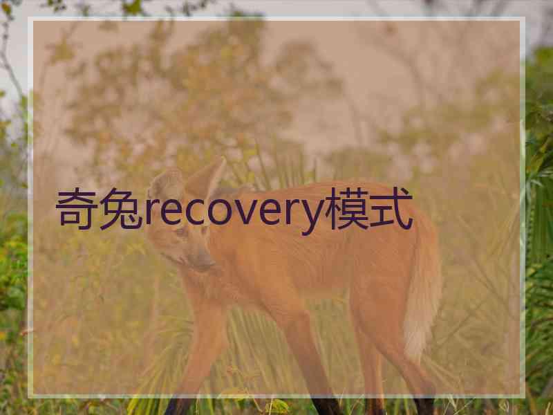 奇兔recovery模式