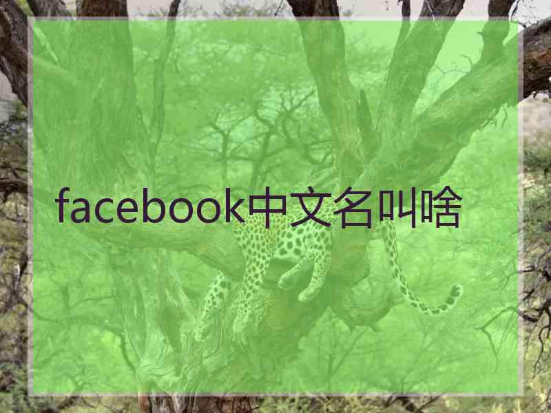 facebook中文名叫啥