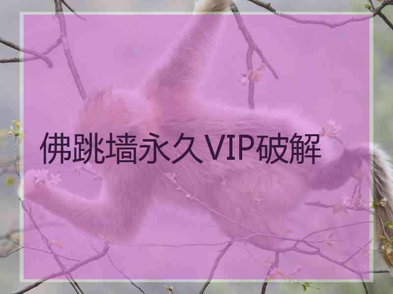 佛跳墙永久VIP破解