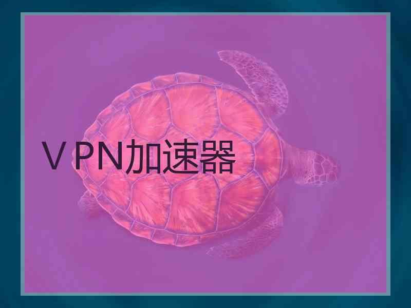 ⅤPN加速器