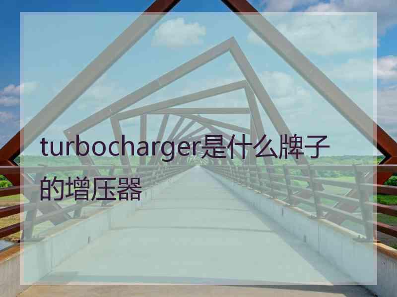 turbocharger是什么牌子的增压器