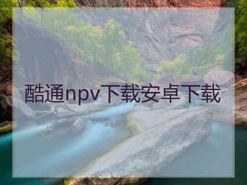 酷通npv下载安卓下载