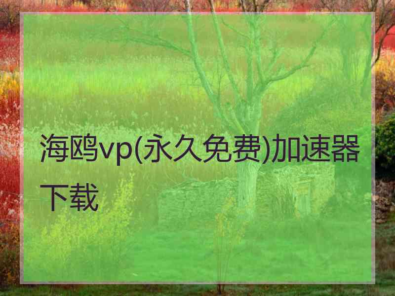 海鸥vp(永久免费)加速器下载