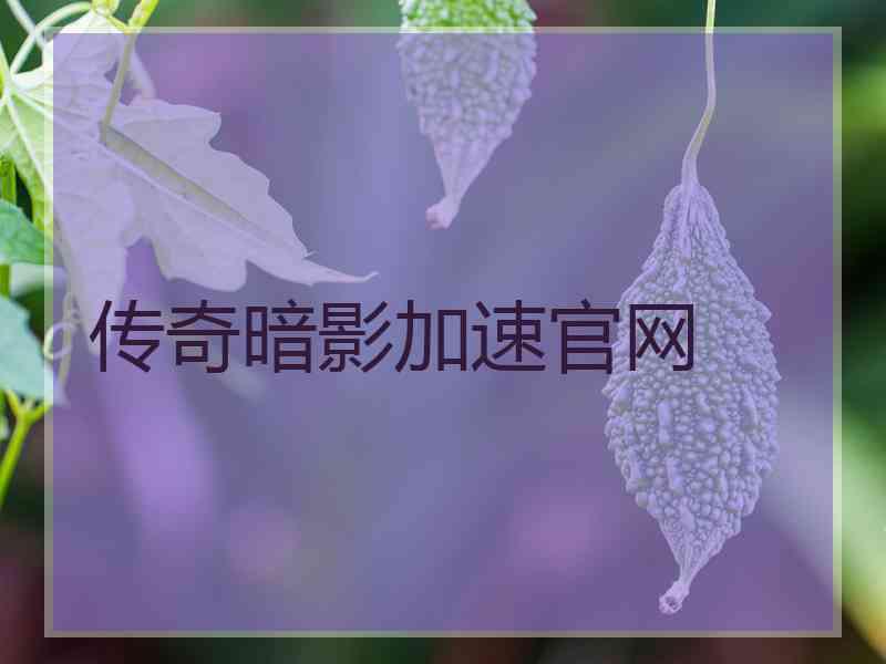 传奇暗影加速官网