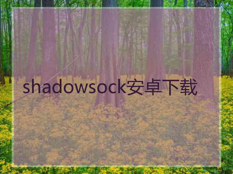 shadowsock安卓下载