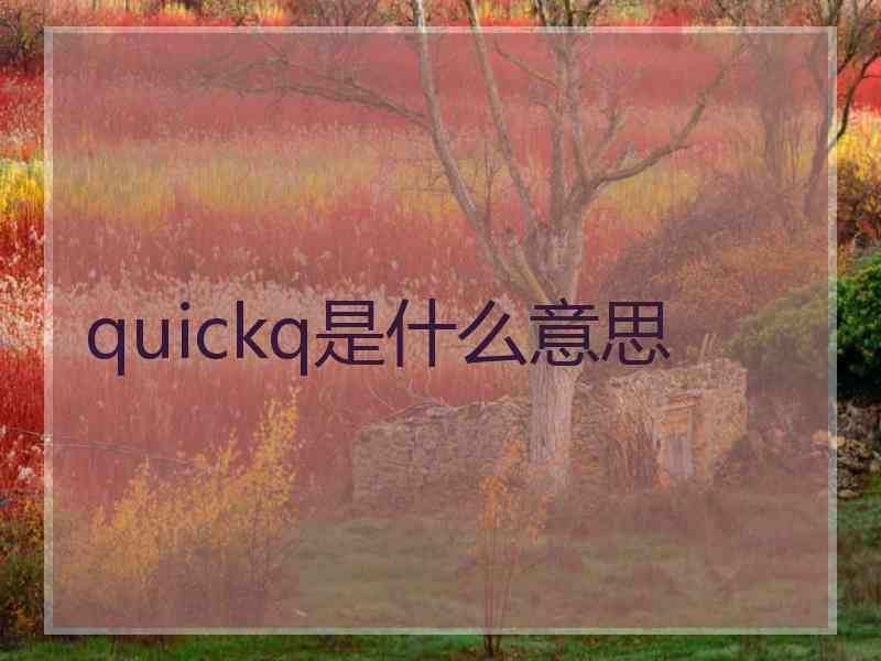 quickq是什么意思