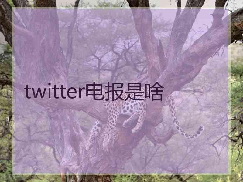 twitter电报是啥