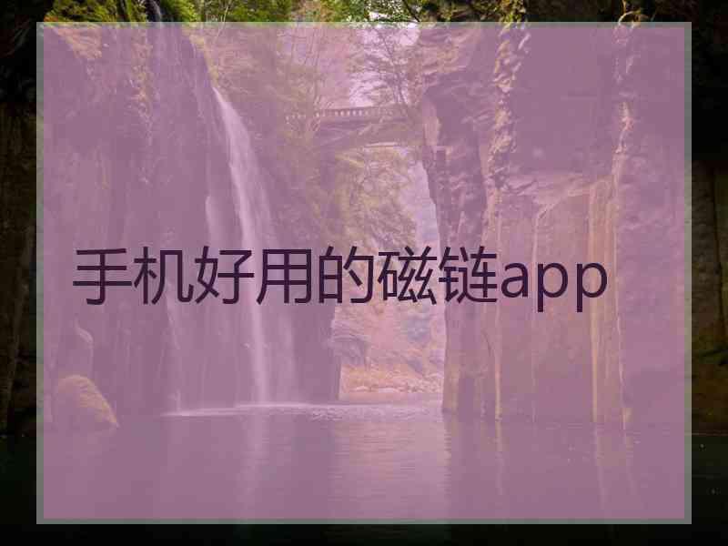 手机好用的磁链app