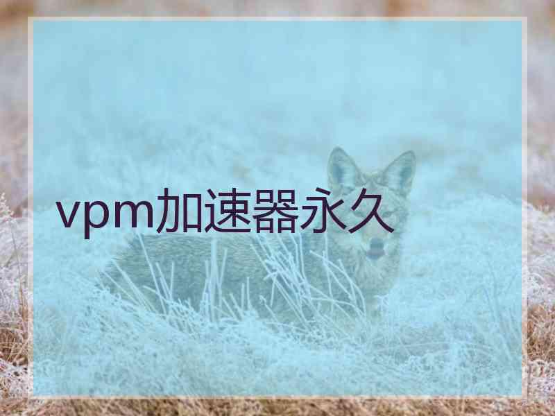 vpm加速器永久