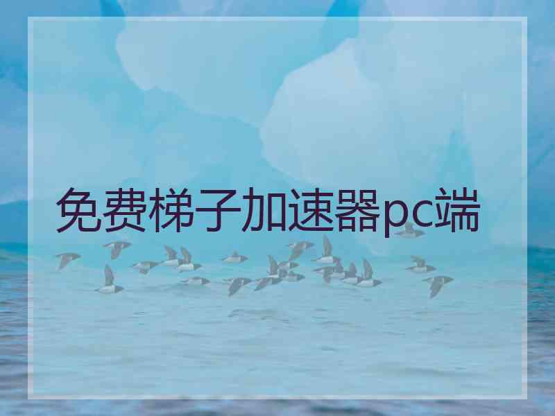 免费梯子加速器pc端