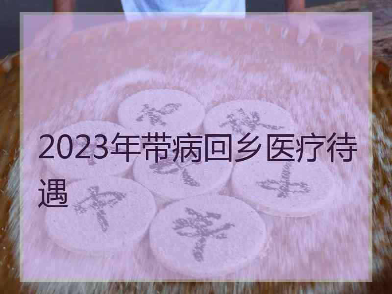 2023年带病回乡医疗待遇