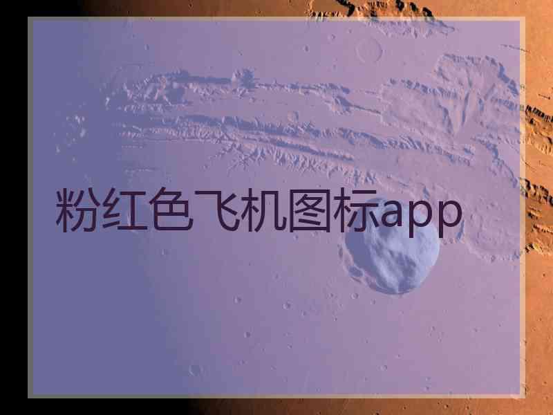 粉红色飞机图标app