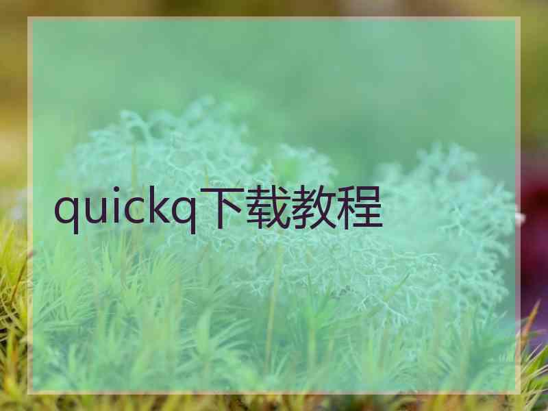 quickq下载教程