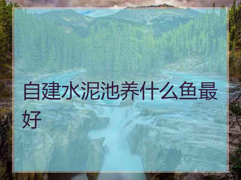 自建水泥池养什么鱼最好