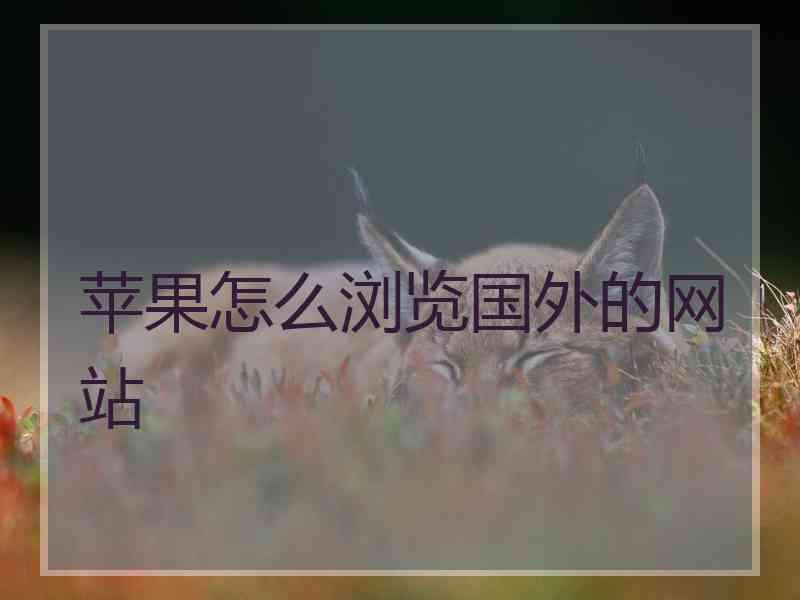 苹果怎么浏览国外的网站