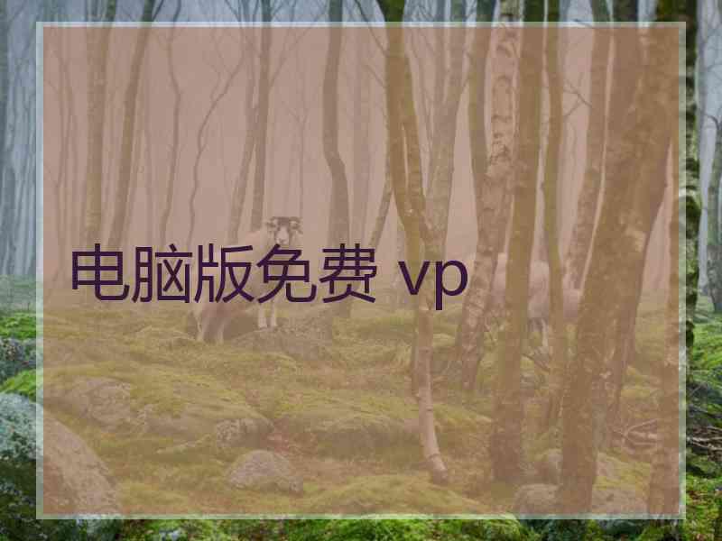 电脑版免费 vp