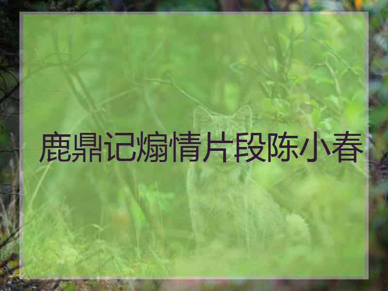 鹿鼎记煽情片段陈小春