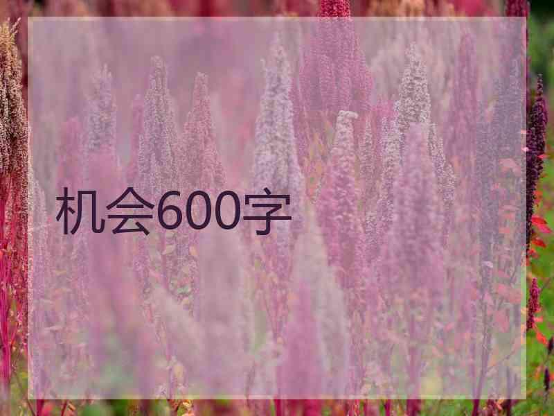 机会600字