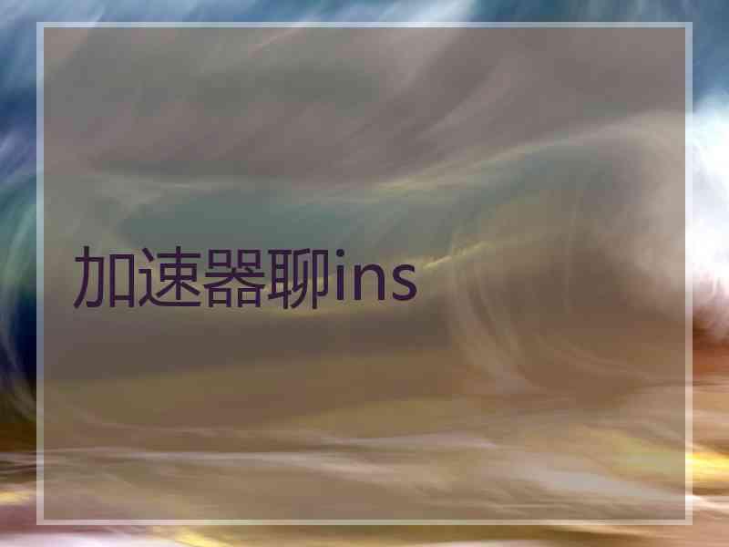 加速器聊ins