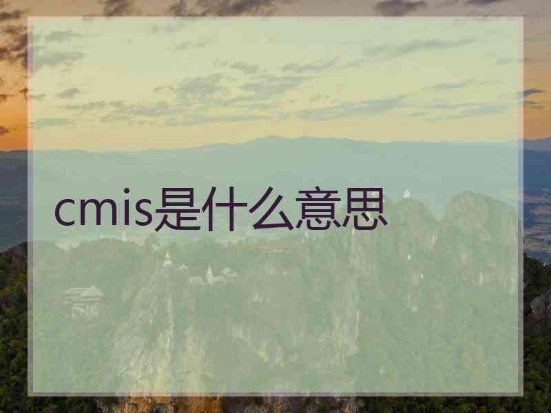 cmis是什么意思