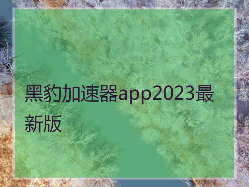 黑豹加速器app2023最新版