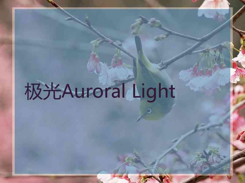 极光Auroral Light