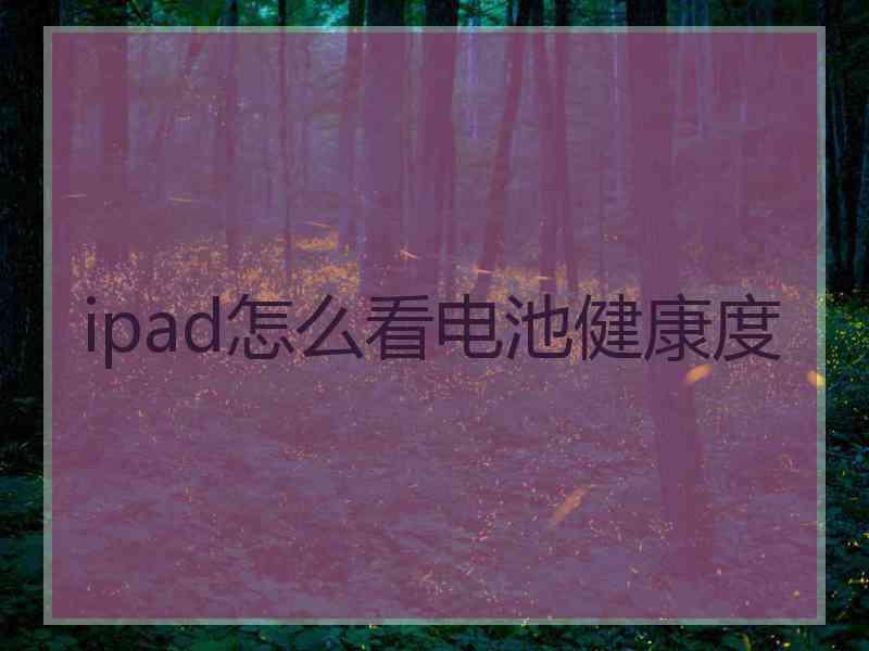 ipad怎么看电池健康度