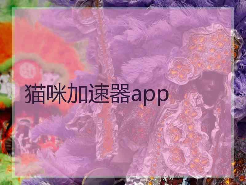 猫咪加速器app