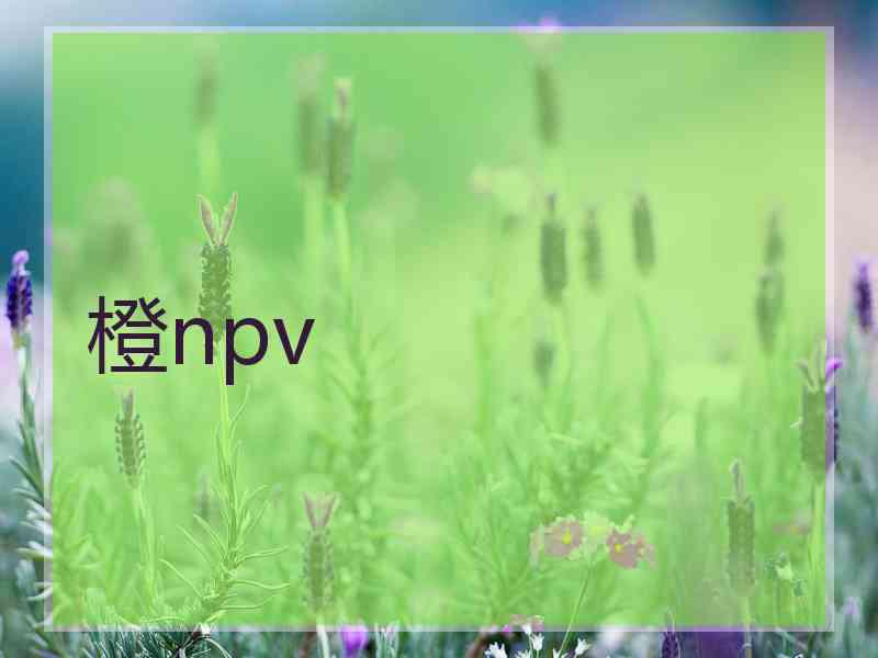 橙npv