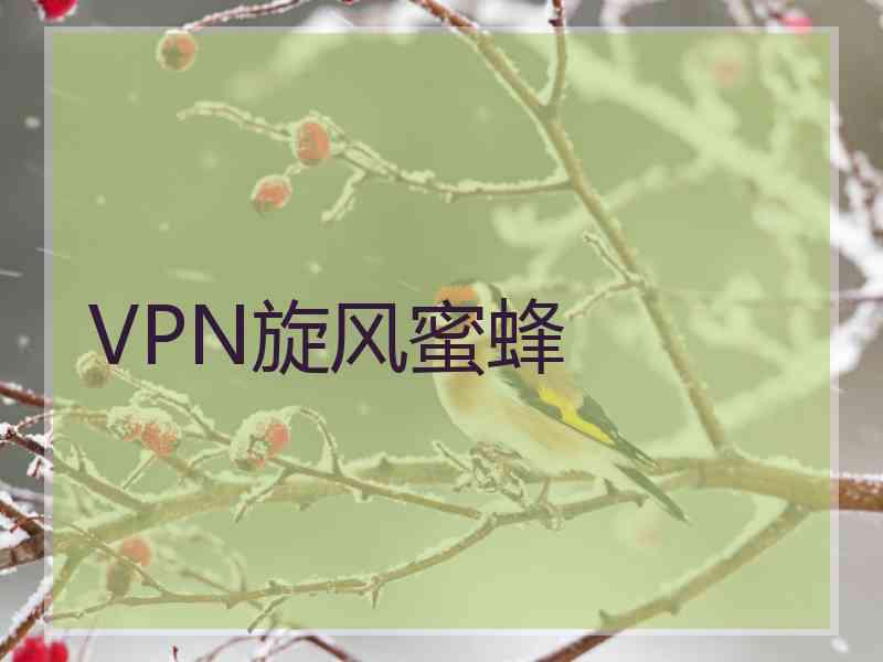 VPN旋风蜜蜂