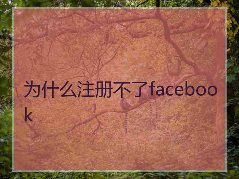 为什么注册不了facebook