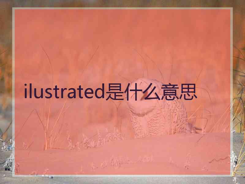 ilustrated是什么意思