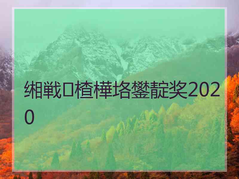 缃戦楂樺垎鐢靛奖2020