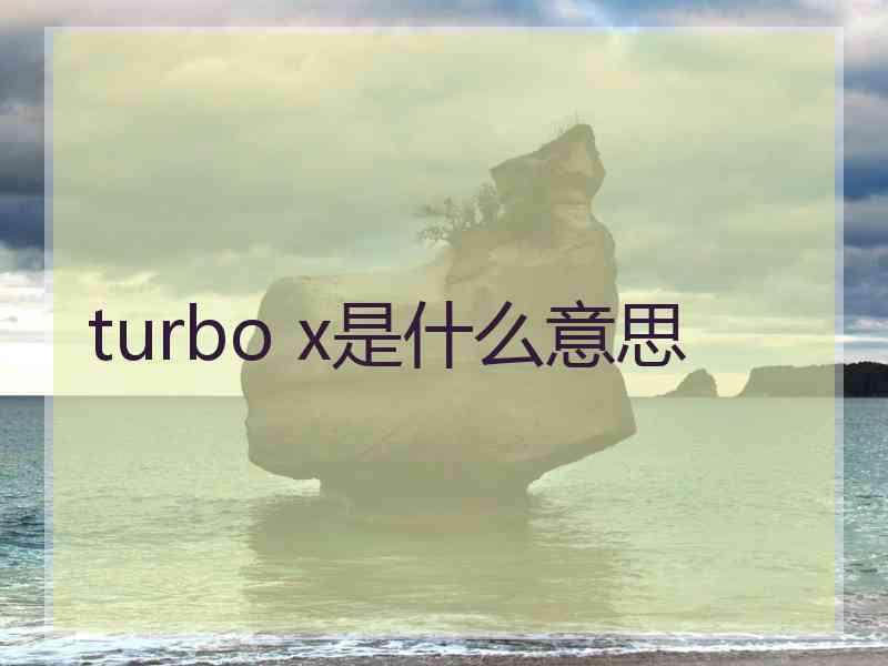 turbo x是什么意思