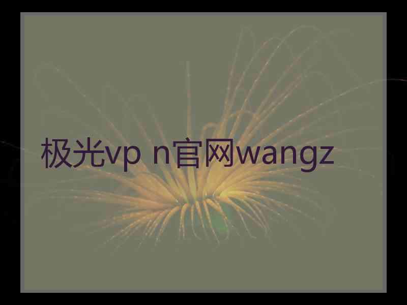 极光vp n官网wangz