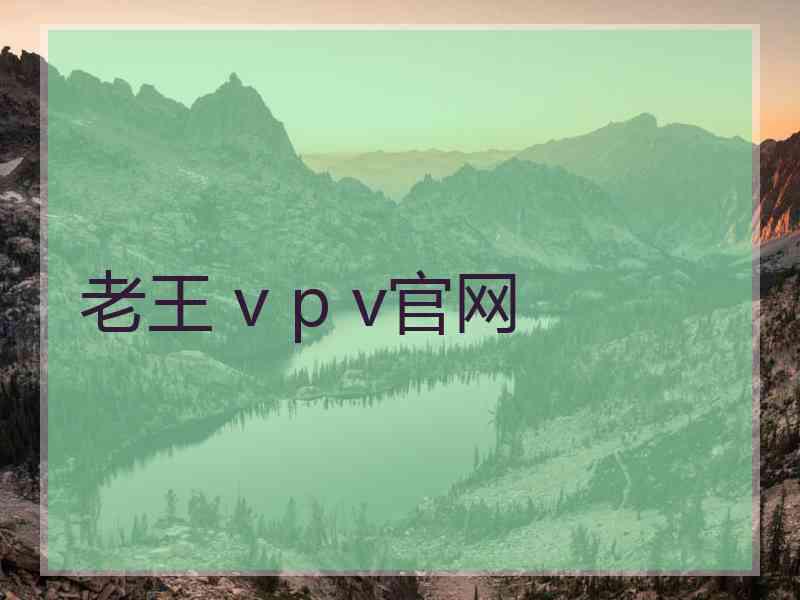 老王 v p v官网