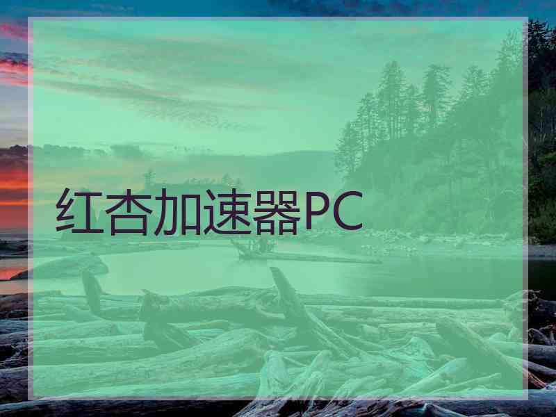 红杏加速器PC