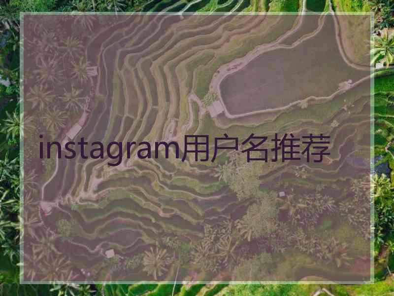 instagram用户名推荐