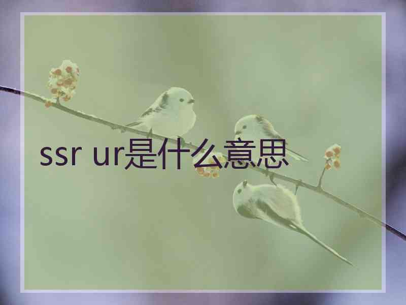 ssr ur是什么意思