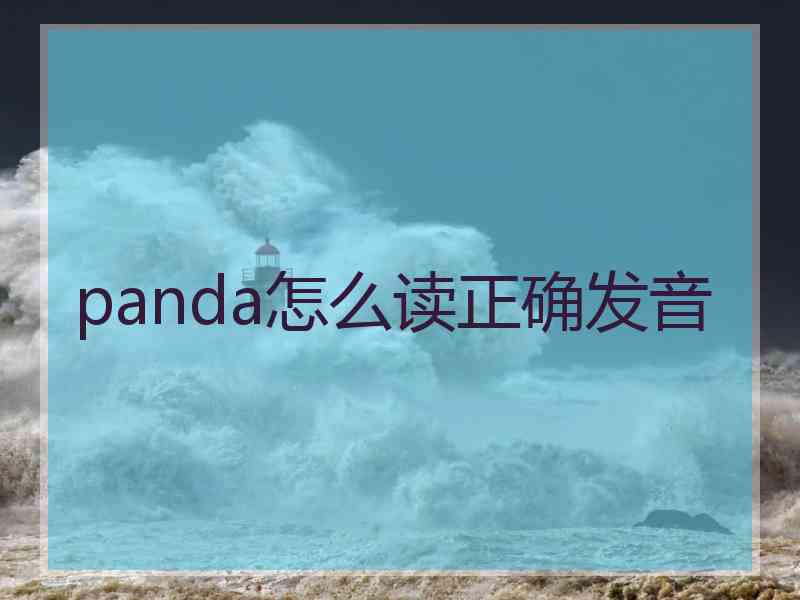 panda怎么读正确发音