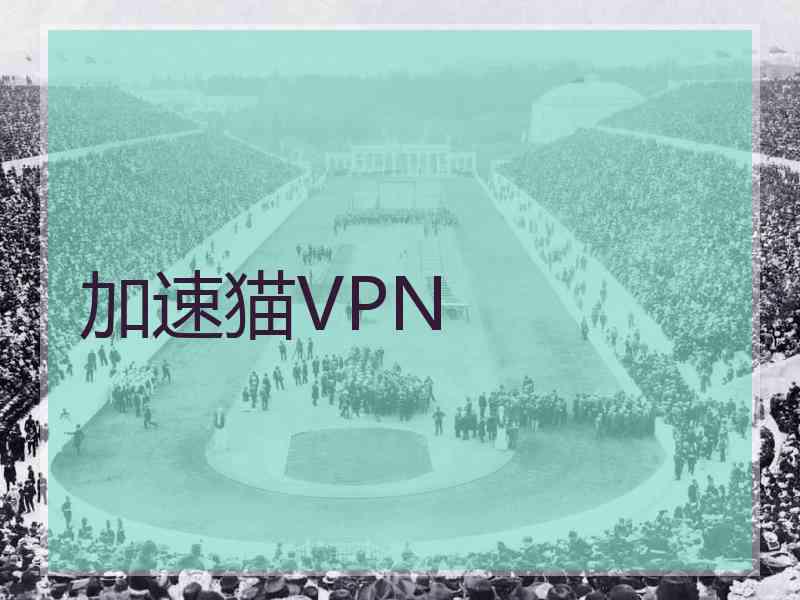 加速猫VPN