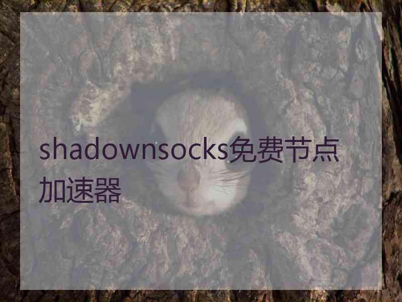 shadownsocks免费节点加速器