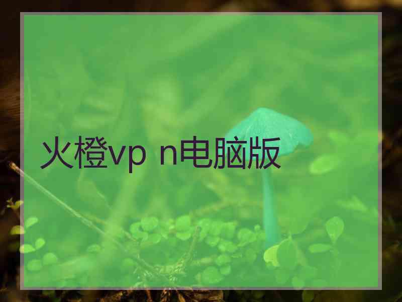 火橙vp n电脑版