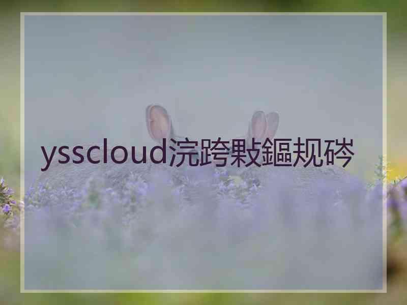 ysscloud浣跨敤鏂规硶