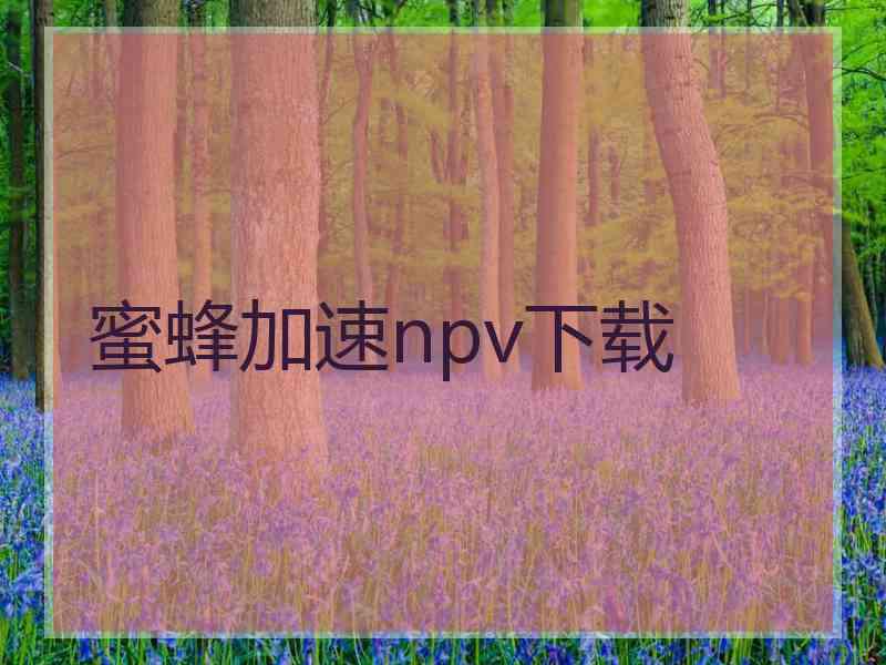 蜜蜂加速npv下载