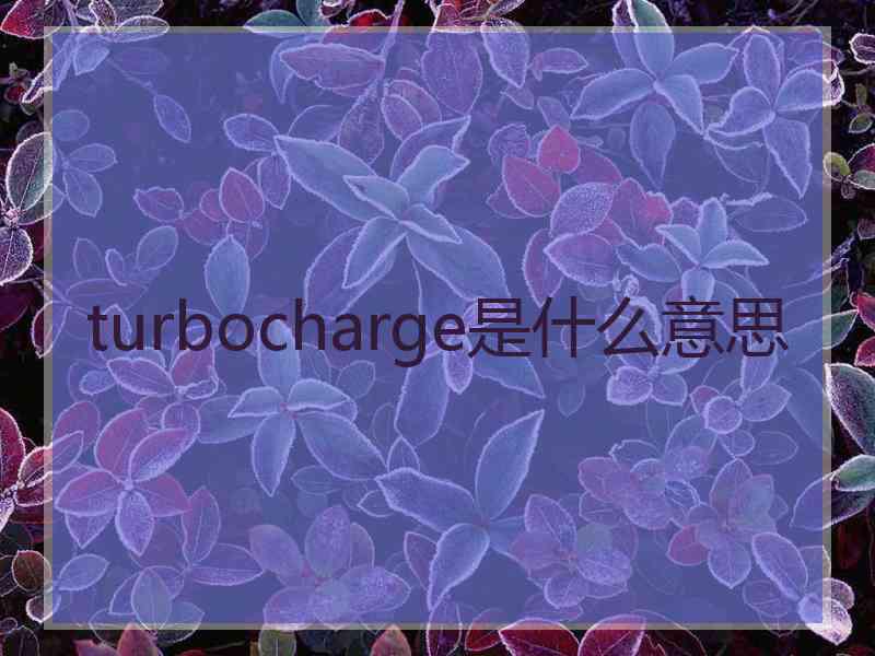 turbocharge是什么意思