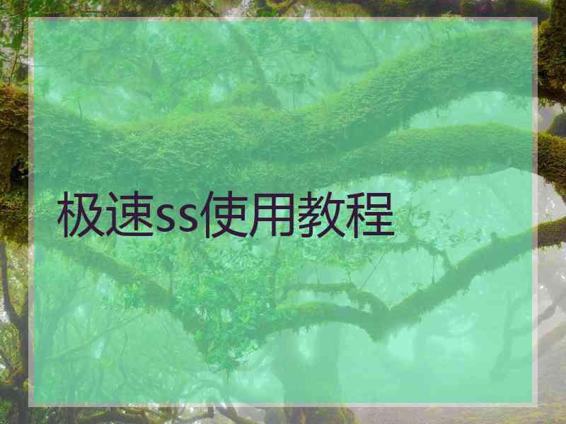 极速ss使用教程