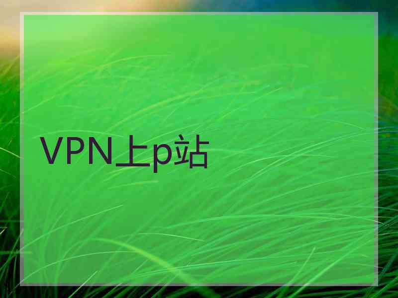 VPN上p站